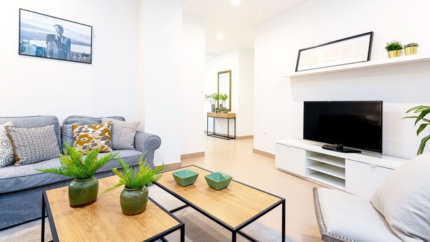 A modern living room with a grey sofa, a coffee table with green plants, a flat-screen TV, and a minimalist design. - Genteel Home Marin Garcia I (Málaga)