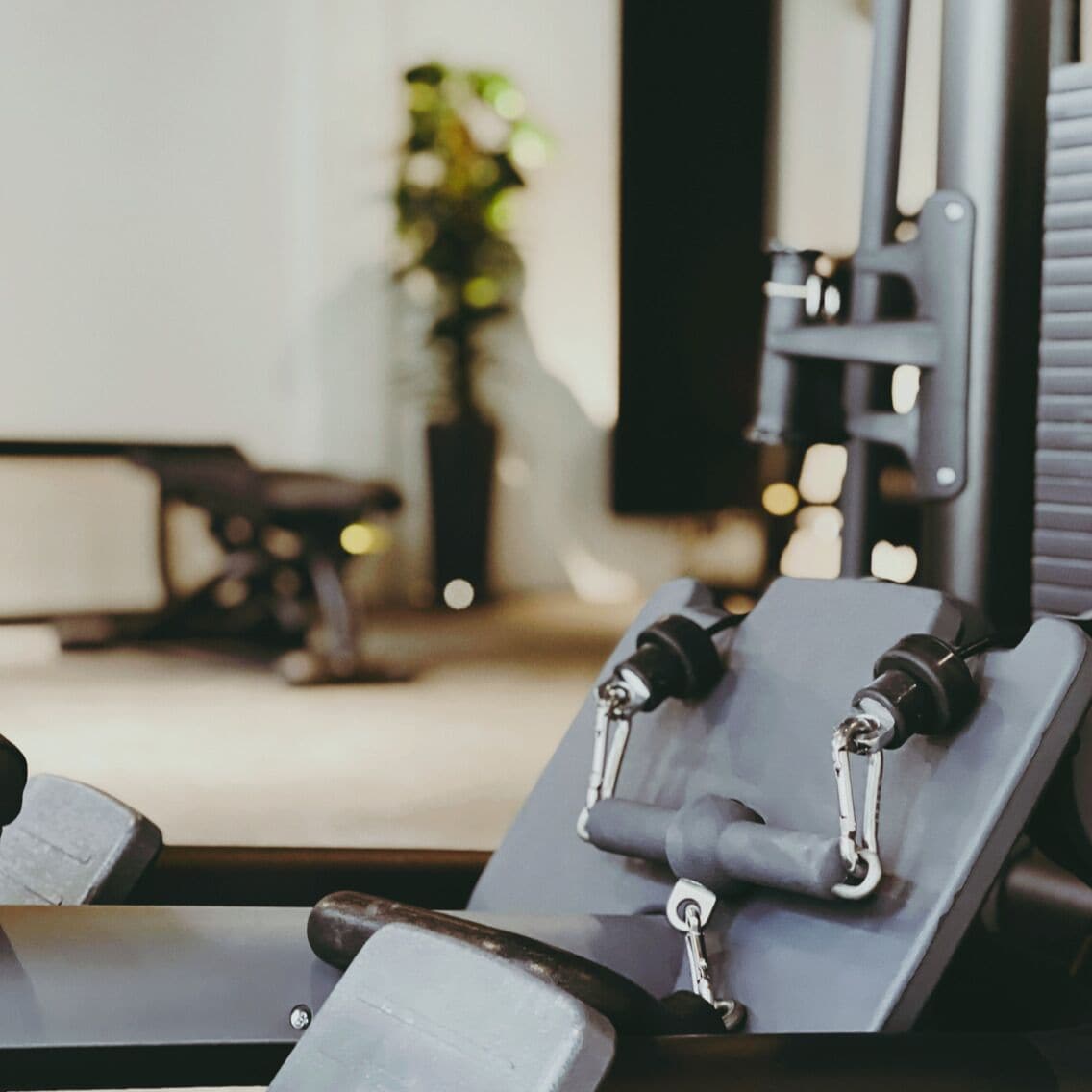 Un gimnasio con equipamiento de ejercicio, una banca y una planta en maceta.