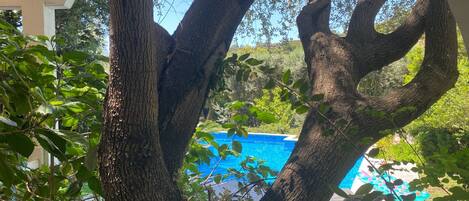 Piscina a l'aire lliure