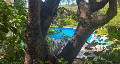 Villa Dharma, Torre delle Stelle