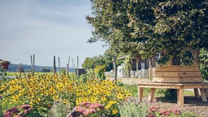 Eine Holzbank in einem Garten mit gelben Blumen und einem Baum.