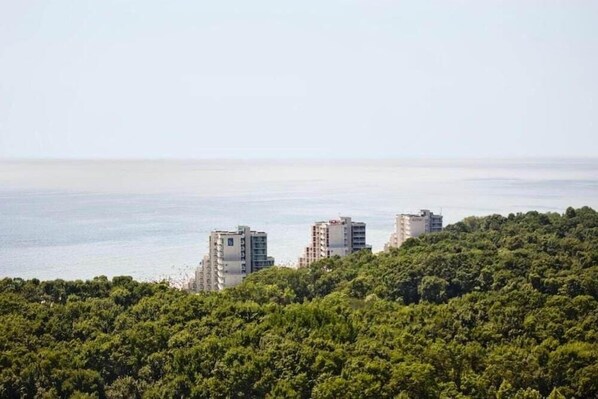 Vista costera con dos edificios altos y abundante vegetación en primer plano.