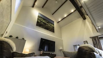Smart TV, fireplace, video games, DVD player