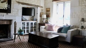 Smart TV, chimenea, reproductor de DVD y libros