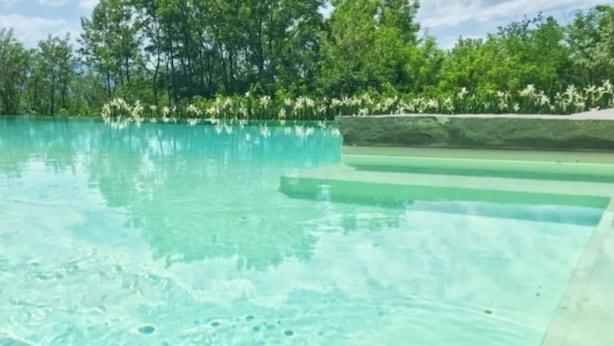 A clear swimming pool with steps leading into it, surrounded by lush greenery.
