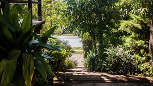 A wooden pathway leading to a road, surrounded by dense greenery and trees.