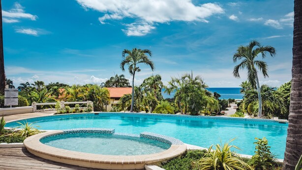 Une piscine avec un jacuzzi, entourée de palmiers et offrant une vue sur l’océan.