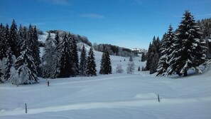 Snow and ski sports - Log cabin with 25 m2 terrace and unobstructed view (La Pesse)