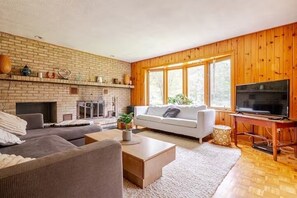 Smart TV, fireplace, books