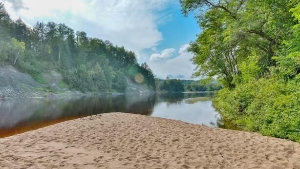 Une plage de sable bordée d’un lac paisible, avec une forêt dense en arrière-plan.