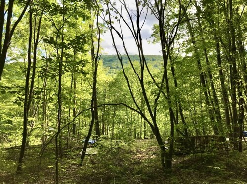 Belleayre Casita de Campo Tiny House