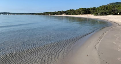 Recent apartment 20m from Pinarellu beach, 2 bedrooms