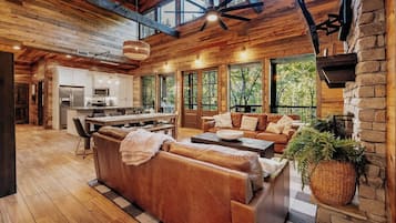 Smart TV, chimenea, reproductor de DVD y libros