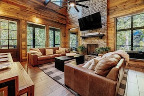 Smart TV, chimenea, reproductor de DVD y libros