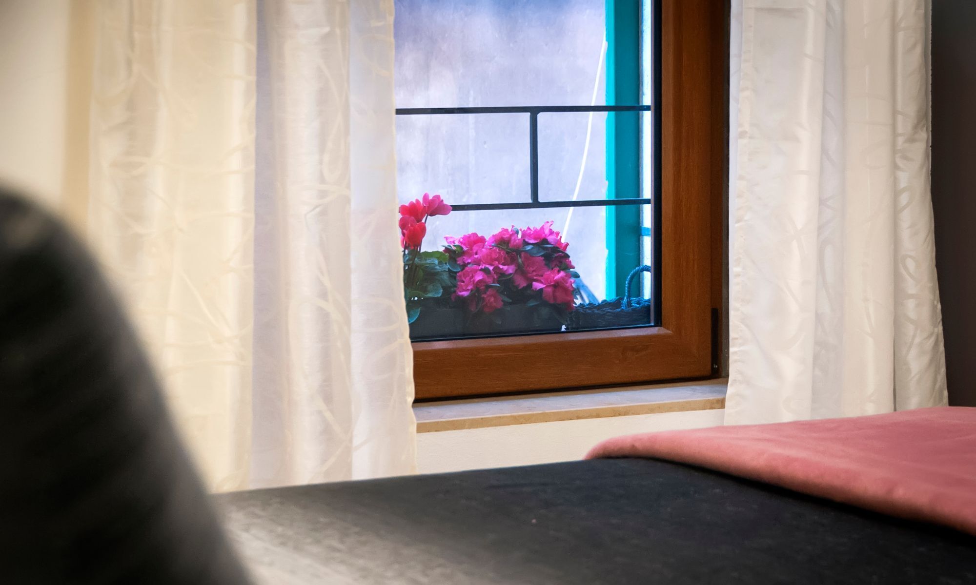A window with a view of pink flowers and a wooden frame.