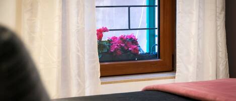 A window with a view of pink flowers and a wooden frame.