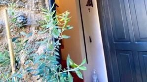A stone wall with a number '5' sign, a staircase leading to a dark door, and a plant beside the steps. - Grand Master Suite (Rodos)