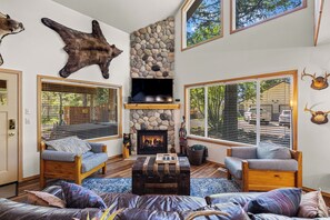 Televisión, chimenea y libros