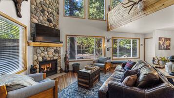TV, fireplace, books