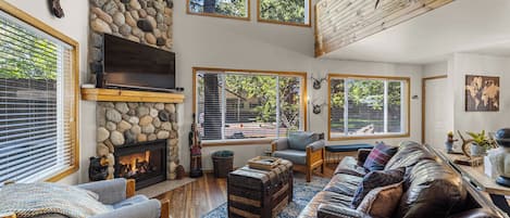 Televisión, chimenea y libros