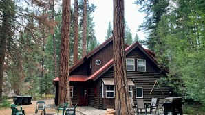 A log cabin with a stone patio, surrounded by tall trees.