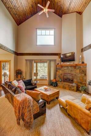 Smart TV, fireplace, books