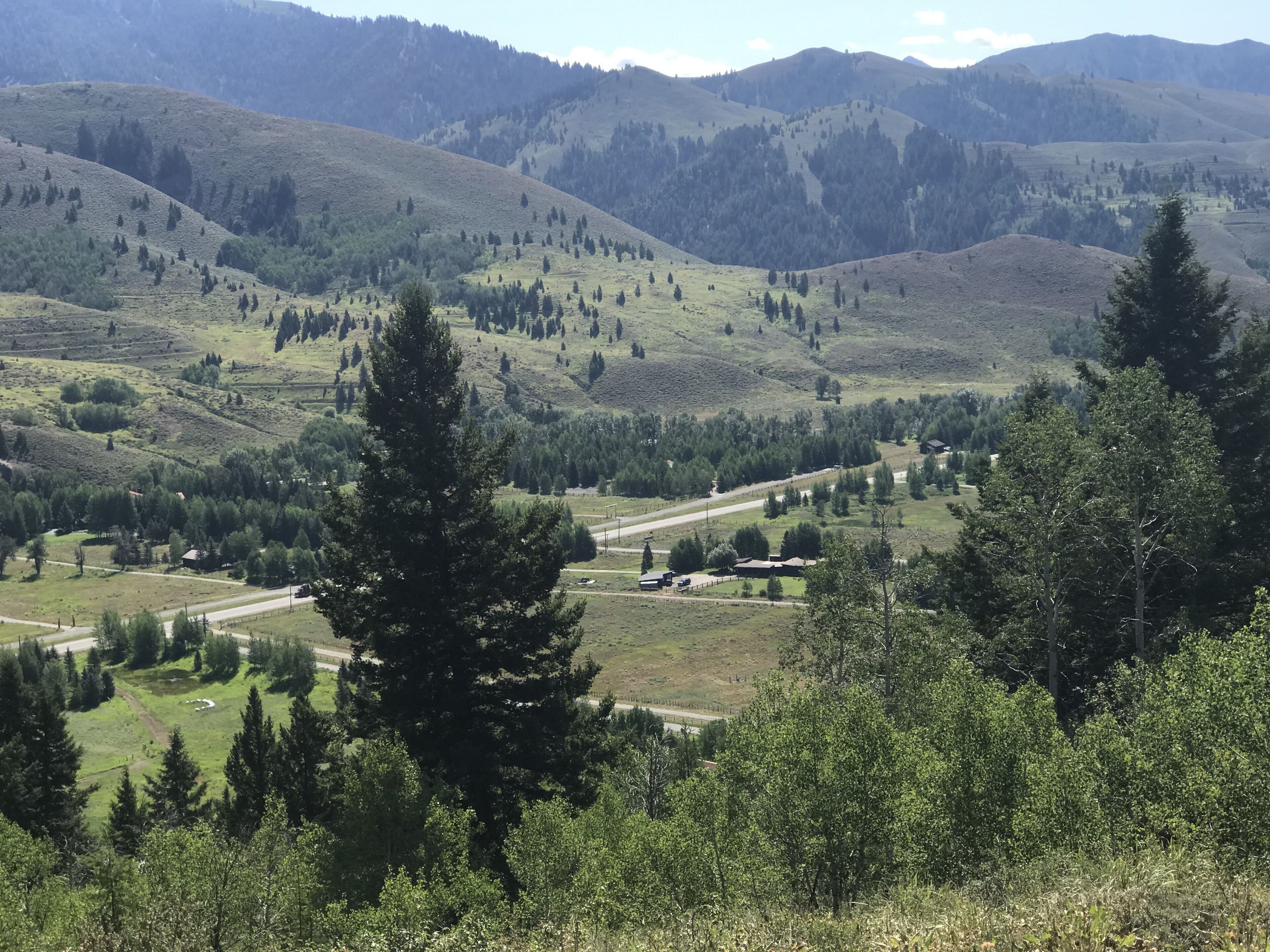 Secluded Mountain Retreat Pet-Friendly