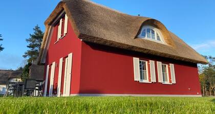 Modern thatched Baltic Sea holiday home on Usedom with sauna, fireplace & sun terrace
