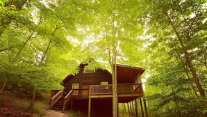 Una baita di legno con veranda e scale, immersa in una fitta foresta.