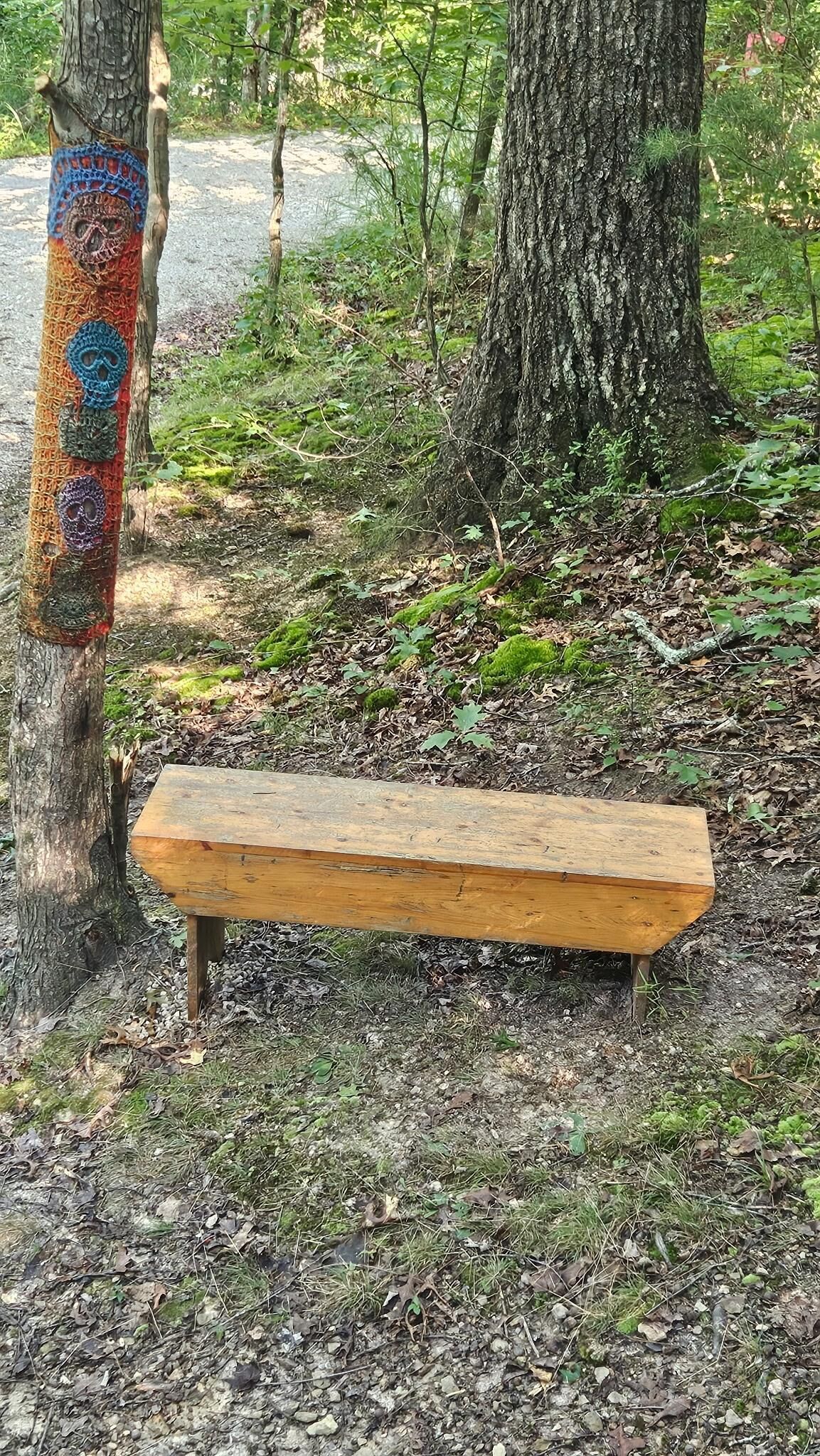 Un banc en bois, situé dans une zone boisée, avec des arbres couverts de mousse et un sentier de gravier.