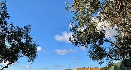 Hofra Farmhouse - 5 bedroom farmhouse with private pool