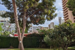 A residential area with a large tree, a well-maintained hedge, and a building with balconies in the background. - SAN ANGELO Levante beach apartments (Benidorm)