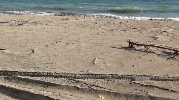A sandy beach with footprints and a few scattered branches. - Apartment Ionian coast (Sant'Andrea Apostolo dello Ionio)
