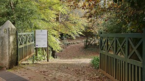 Un sendero de piedra que conduce a una entrada con puerta, rodeada de árboles.