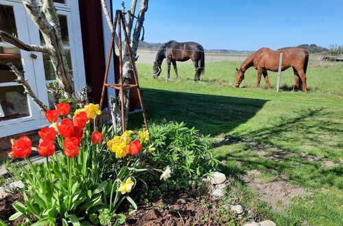 Gårdslägenhet close to Göteborg and river Göta Älv