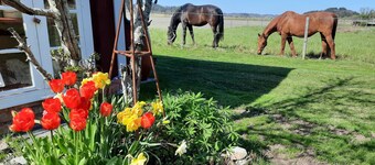 Gårdslägenhet close to Göteborg and river Göta Älv