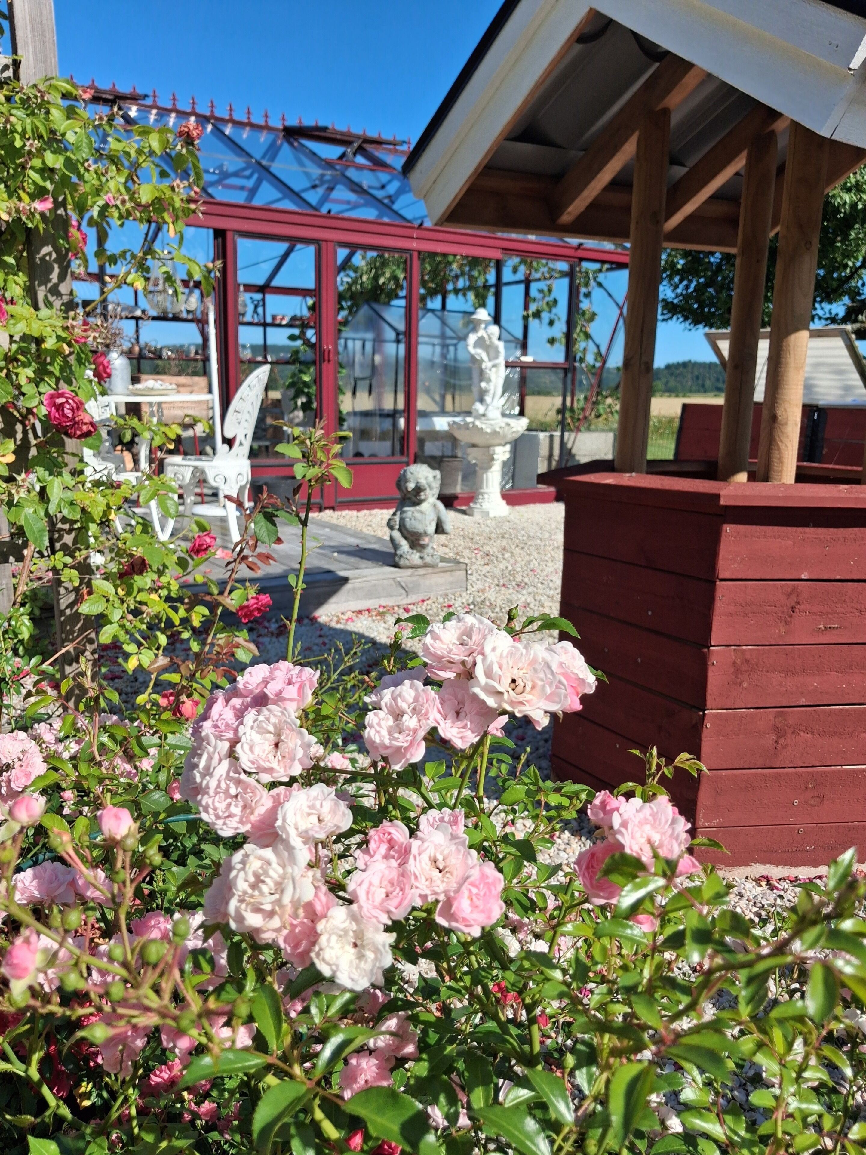 Un jardín con rosas rosadas, una silla blanca, una estatua y una pérgola roja.