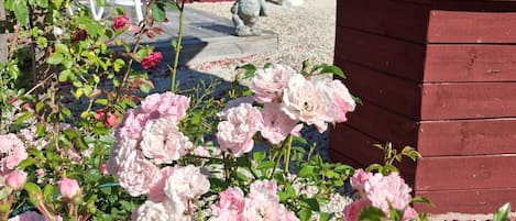 A garden with pink roses, a white chair, a statue, and a red pergola structure.