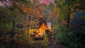 Eine Hütte, umgeben von Bäumen, mit Lichterketten.