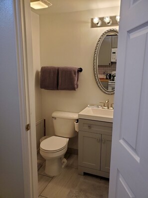 A small bathroom with a toilet, sink, and mirror. - Downtown Fairview BunkHouse (Fairview)
