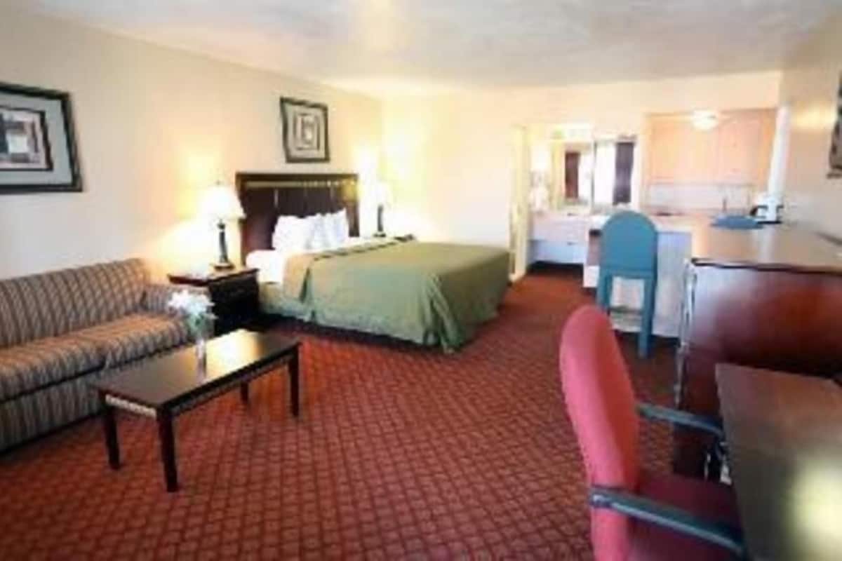 A hotel room with a bed, a sofa, a desk, and a chair.