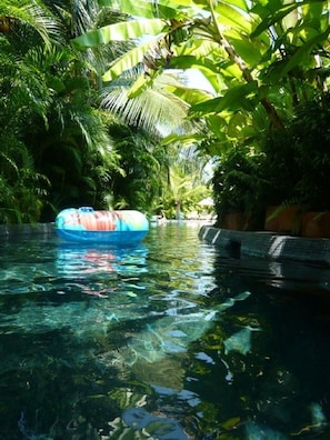 Relax by the pool surrounded by lush tropical foliage and enjoy a leisurely float on the clear water.