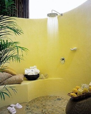 Spa - Beautiful Ocean View Villa Four Seasons Resort Punta Mita - Best Christmas Value (Punta Mita)