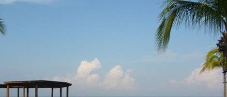 Relax by the ocean-view pool surrounded by palm trees and a covered seating area.