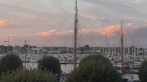 A marina with numerous boats docked, surrounded by trees and a clear sky.