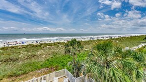 A beach with a white fence, palm trees, and a clear sky. - Gorgeous Oceanfront Beach House, Outdoor Pool | Blue Heaven (North Myrtle Beach)