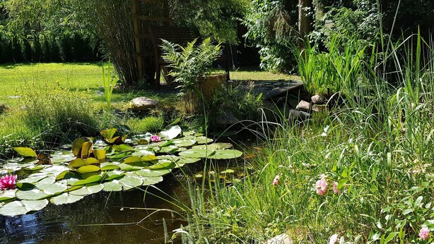 A serene garden with a pond, lush greenery, and a wooden fence. - Holiday house Fichtenwalde, 160m², 2.5 BZ, 3SZ, WZ, dining room, kitchen, garden, VDSL (Beelitz)