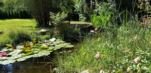 Jardines del alojamiento