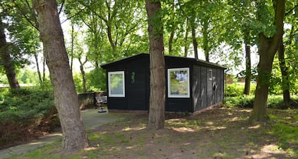 Seemann, Thorsten 4 - Seemann, Thorsten