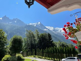 Vista desde la propiedad